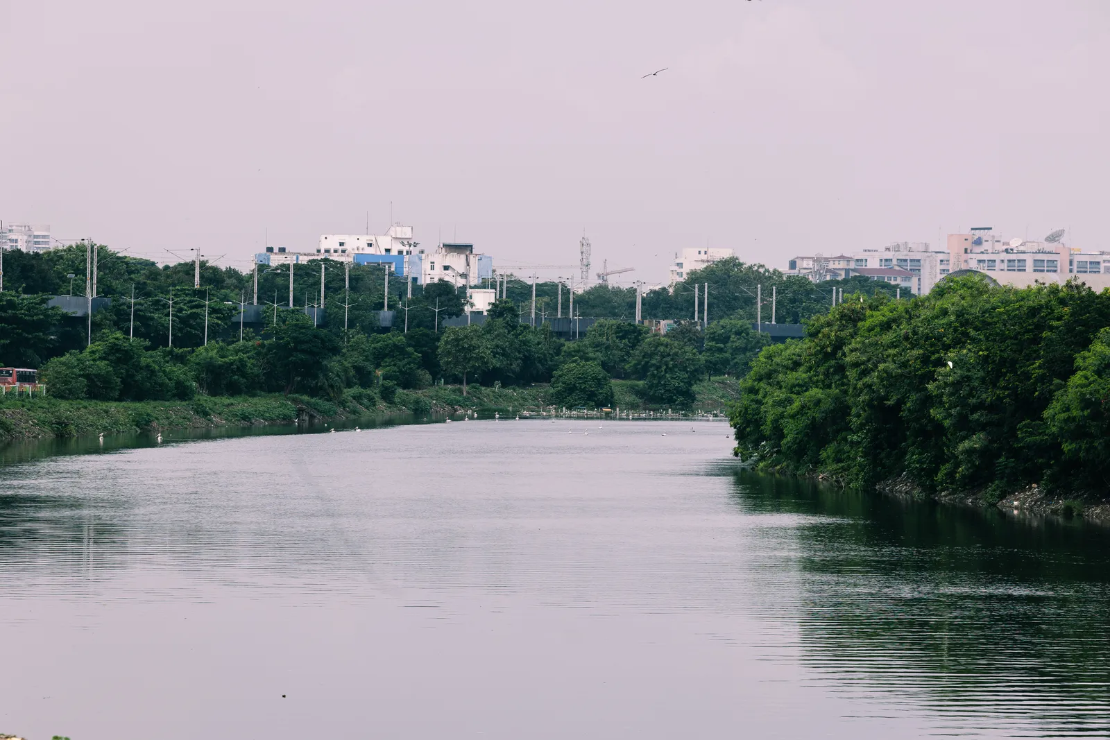 A wide, calm river lined with trees, with apartment blocks and power poles in the hazy distance.