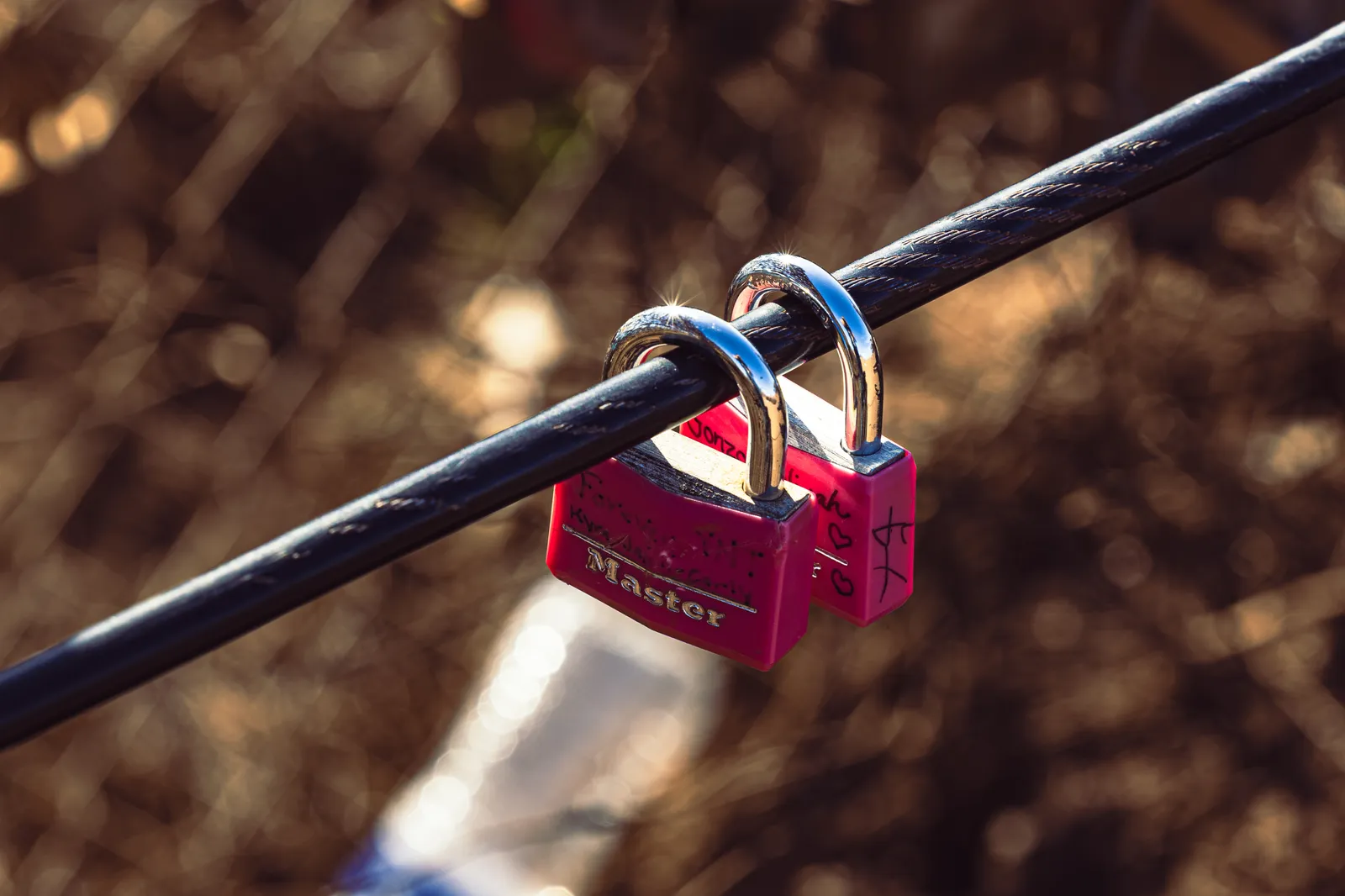 Two pink padlocks clipped to a black cable, sharp against a warm, blurred background.